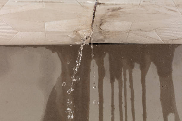Professional Water Damage Repair technician working in Wauconda, IL